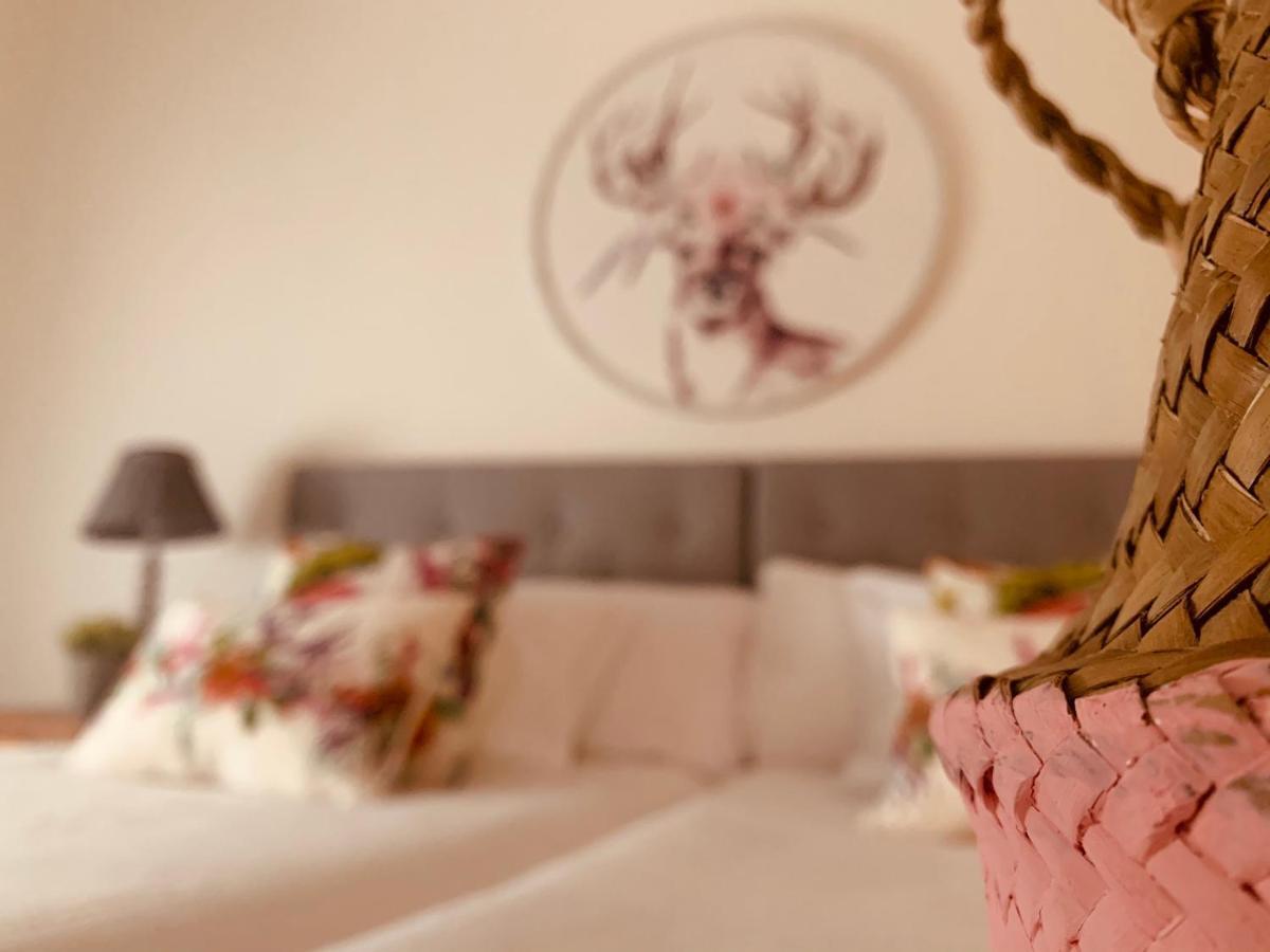 Hotel Casa Ruy Lopez Zafra Exteriér fotografie